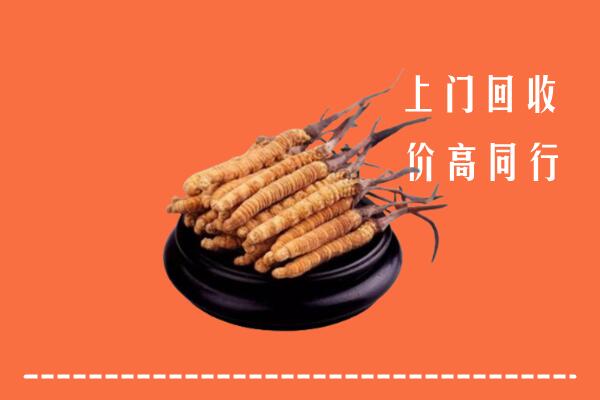 高价求购：理塘县回收散虫草