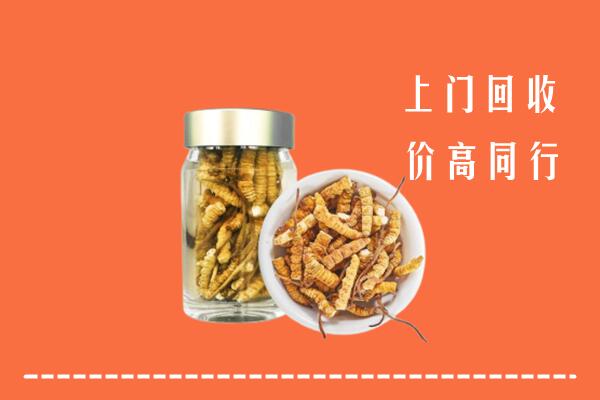 理塘县回收冬虫夏草