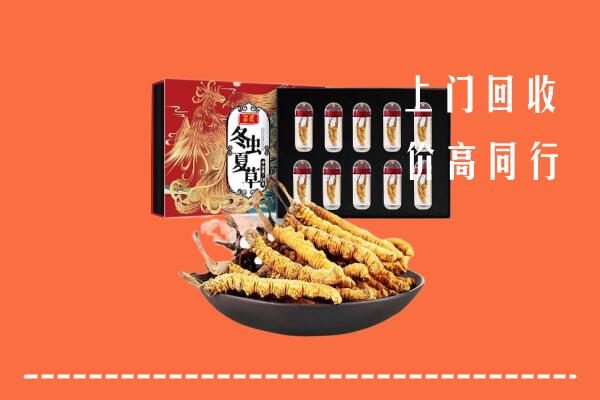 理塘县回收虫草